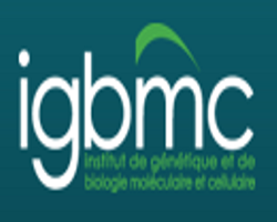 معهد علم الوراثة والبيولوجيا الجزيئية والخلوية (IGBMC)- فرنسا